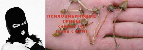 хмурый Медногорск