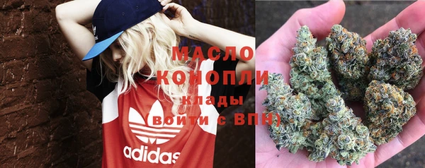 хмурый Медногорск