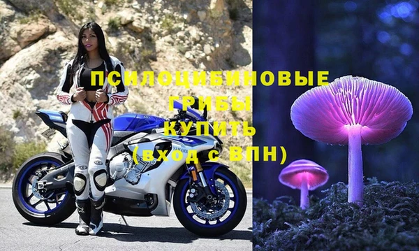 хмурый Медногорск