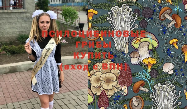 метадон Медвежьегорск